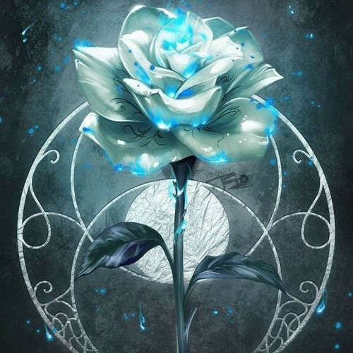 foto de la meditación de la rosa
